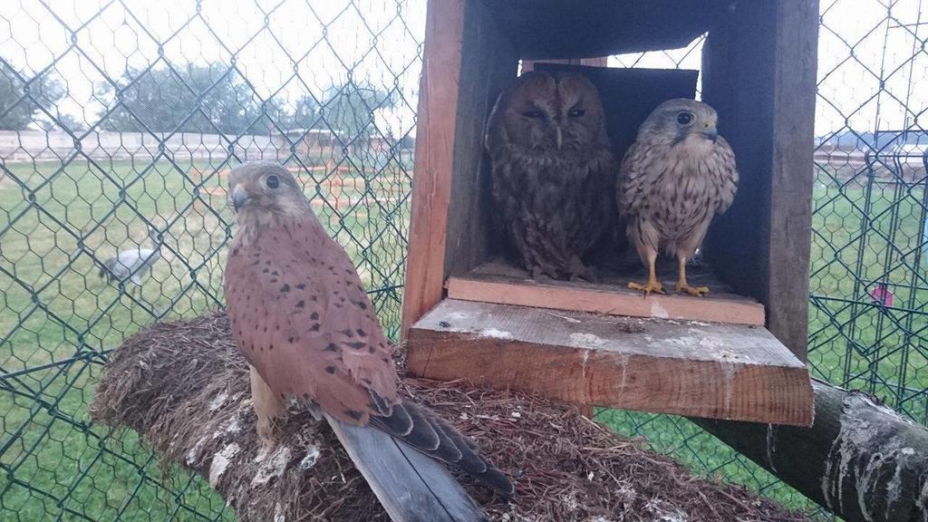 Agroturystyka Klekusiowo Boleslawiec  Extérieur photo