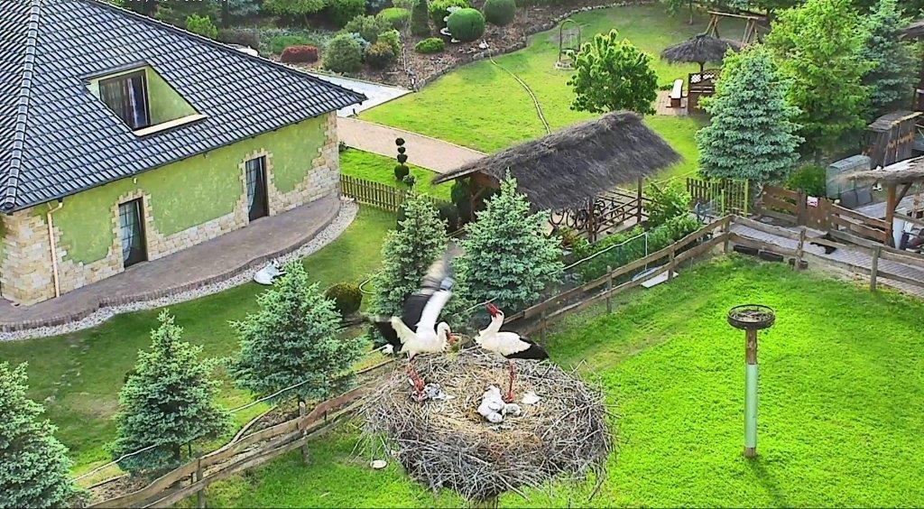 Agroturystyka Klekusiowo Boleslawiec  Extérieur photo