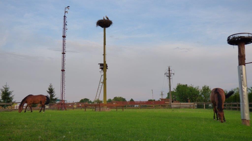 Agroturystyka Klekusiowo Boleslawiec  Extérieur photo