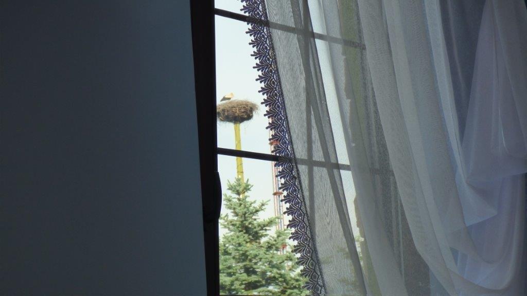 Agroturystyka Klekusiowo Boleslawiec  Extérieur photo