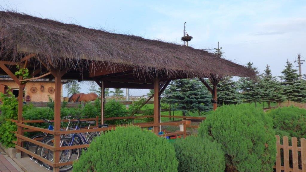 Agroturystyka Klekusiowo Boleslawiec  Extérieur photo
