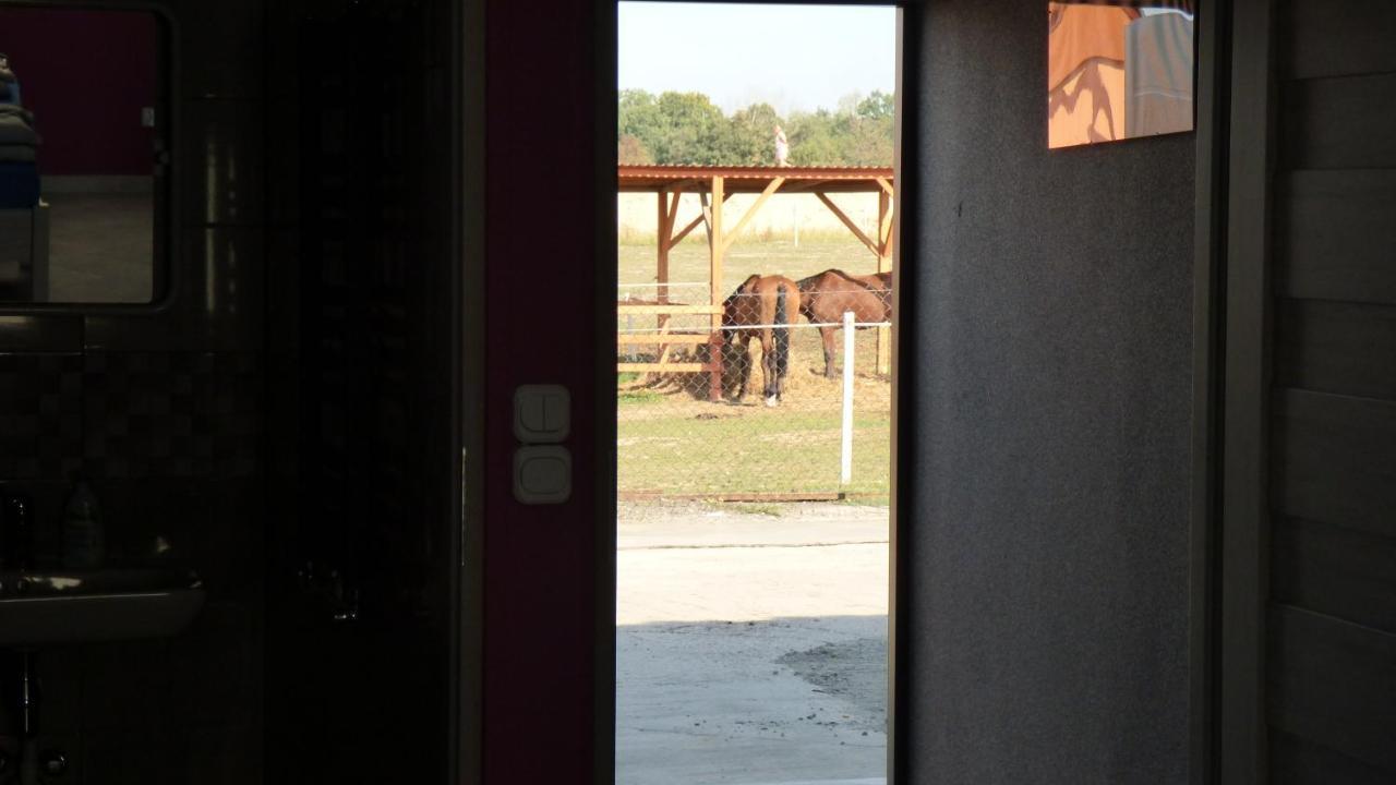 Agroturystyka Klekusiowo Boleslawiec  Extérieur photo