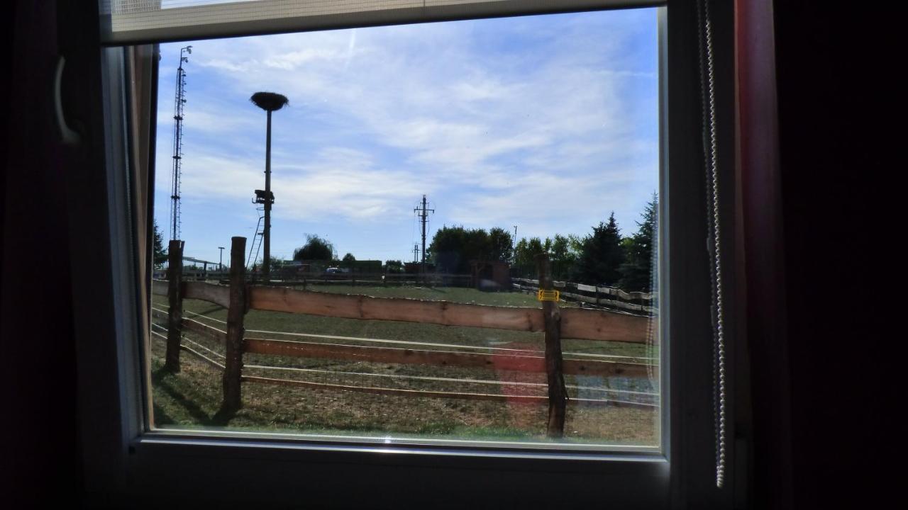 Agroturystyka Klekusiowo Boleslawiec  Extérieur photo